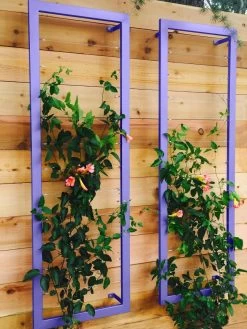 Ina Modern Wall Trellis Sr. -Garden Care Shop 8600510 07V tif