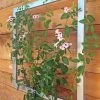 Ina Modern Wall Trellis Jr. 1 Ina Modern Wall Trellis Jr. -Garden Care Shop 8600512 07V tif