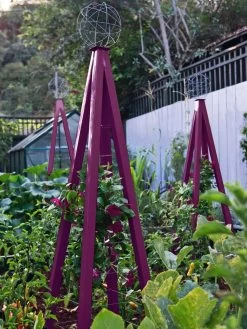 Akoris Garden Tuteur Jr. -Garden Care Shop 8600517 01V akoris garden tuteur tif 1