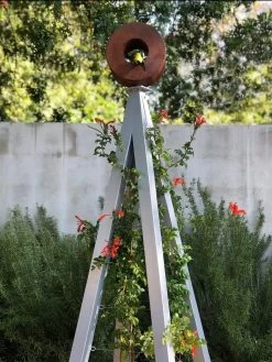 Bird Cafe + Akoris Garden Tuteur Jr. -Garden Care Shop 8600525 07v