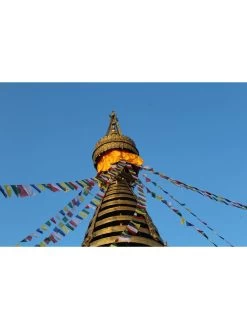 Tibetan Prayer Flags -Garden Care Shop 8600646 04v