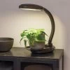 Agrobrite Desktop LED Plant Lamp -Garden Care Shop 8608871 0345 tif
