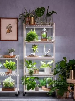 Oslo 4-Tier LED Grow Light Garden -Garden Care Shop 8609220 4116 tif