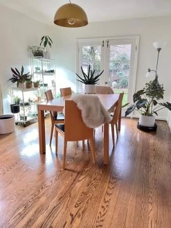 Oslo 2-Tier LED Grow Light Garden, 2 Fixtures -Garden Care Shop 8609221 01IN tif