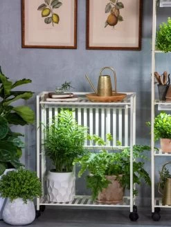 Oslo 2-Tier LED Grow Light Garden, 2 Fixtures -Garden Care Shop 8609221 7236 tif