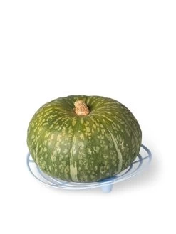Melon And Squash Cradles, Set Of 6 8 Melon And Squash Cradles, Set Of 6 -Garden Care Shop 8609464 5204 tif