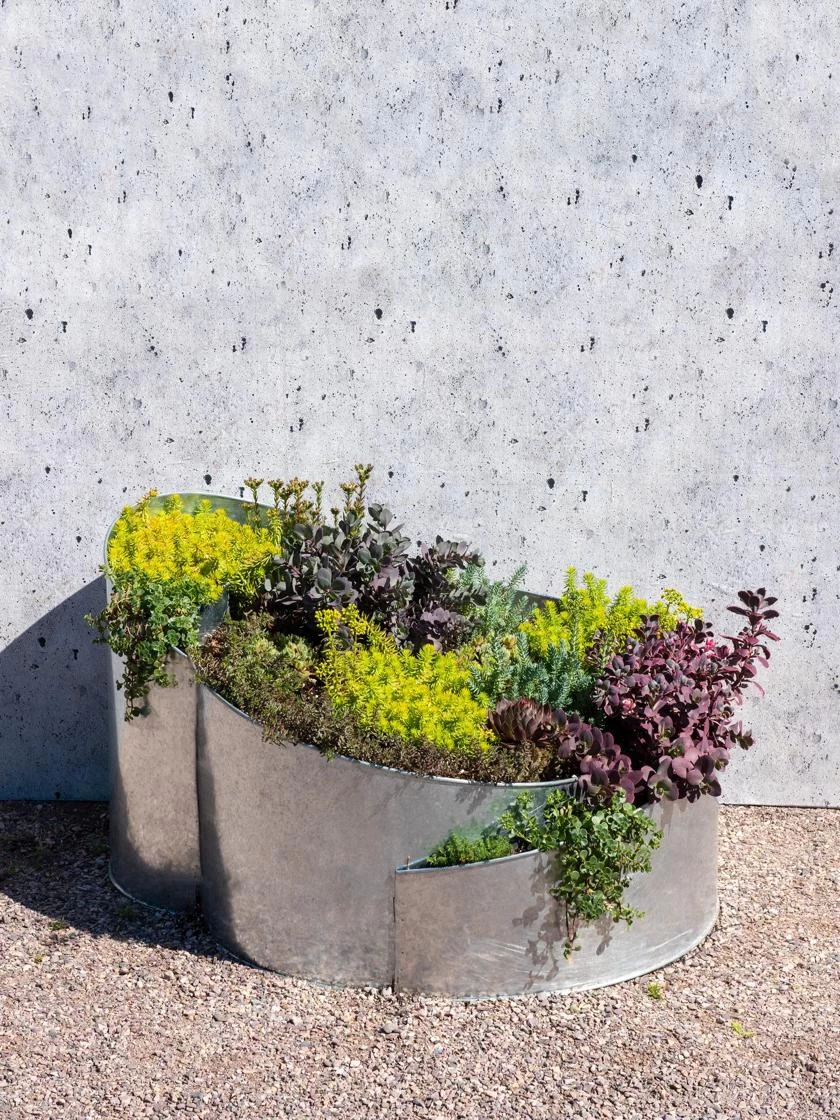 Curved Metal Raised Bed 4 Curved Metal Raised Bed - Image 2