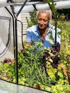 VegTrug®Patio Garden Greenhouse Cover Kit -Garden Care Shop 8610172 1256