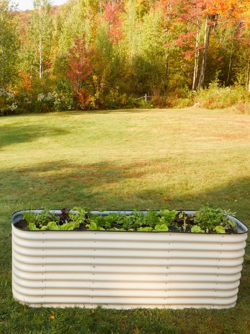 Birdies™ Modular Metal Raised Bed, Tall 5 Birdies™ Modular Metal Raised Bed, Tall - Image 3