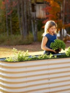 Birdies™ Modular Metal Raised Bed, Tall 12 Birdies™ Modular Metal Raised Bed, Tall -Garden Care Shop 8610174 5015 tif