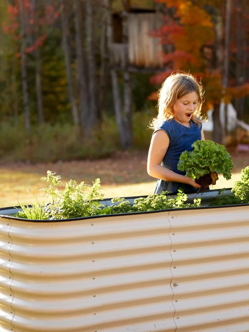 Birdies™ Modular Metal Raised Bed, Tall 6 Birdies™ Modular Metal Raised Bed, Tall - Image 4
