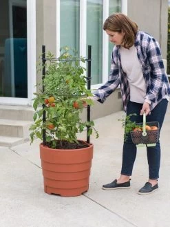 Gardener’s Victory Self-Watering Planter Garden Kit -Garden Care Shop 8610239 06002 tif