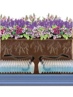 Adjustable Self-Watering Insert For Pots And Planters -Garden Care Shop 8610250 SWInsert art Trough tif