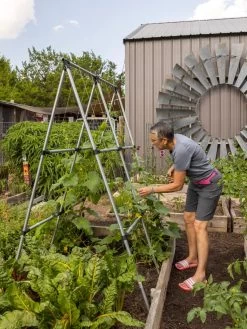 Connector Kit For DIY A Frame Plant Support 13 Connector Kit For DIY A Frame Plant Support -Garden Care Shop 8610366 7584 tif