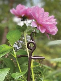 Garden Care Shop -Garden Care Shop 8610375 5701 tif