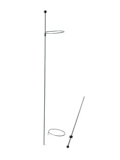 Peacock Mini Plant Support Rings 4", Set Of 2 -Garden Care Shop 8610386 9566