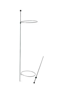 Peacock Mini Plant Support Rings 8", Set Of 2 -Garden Care Shop 8610388 9565 tif