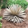 Desert Steel Yucca Plant Sculpture -Garden Care Shop 8610744 03v desert steel yucca plant