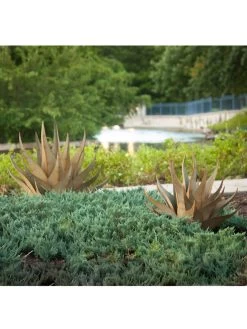 Desert Steel Sharkskin Agave Sculpture -Garden Care Shop 8610753 05v