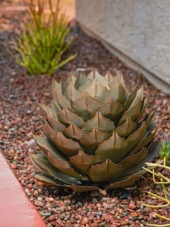 Desert Steel Artichoke Agave Sculpture 13 Desert Steel Artichoke Agave Sculpture -Garden Care Shop 8610761 042v