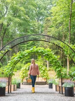 2’ X 8’ Arch Trellis For Planter Boxes -Garden Care Shop 8610798 071 tif