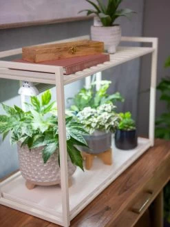 Oslo 1-Tier LED Grow Light Garden -Garden Care Shop 8611002 2002 tif