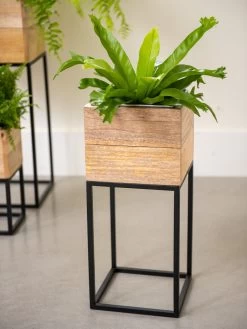 Tartu Elevated Square Planters -Garden Care Shop 8611005 035