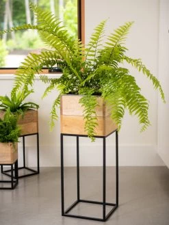 Tartu Elevated Square Planters -Garden Care Shop 8611006 034