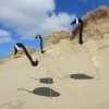Florida Dancing Birds®, Canada Goose -Garden Care Shop 8611633 01v florida dancing birds canada goose