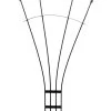 Achla Fan Trellis, 56" -Garden Care Shop 8611788 01v achla fan trellis 56 inch graphite powder coated wrought iron