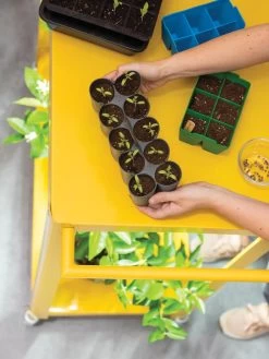 Sili-Seedlings® Seedling Tray, 10-Cell -Garden Care Shop 8611886 374 tif