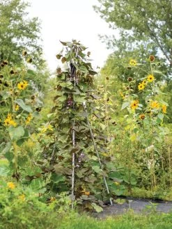 DIY Connector For Teepee Trellis -Garden Care Shop 8611896 062 tif