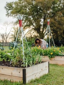 DIY Connector For Teepee Trellis -Garden Care Shop 8611896 38 tif