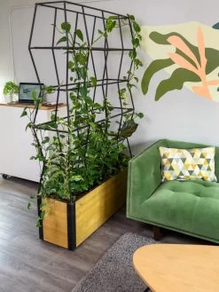 Self-Watering Partition Planter 10 Self-Watering Partition Planter -Garden Care Shop 8611952 001 tif