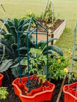 Deluxe Tomato Halos, Set Of 2 -Garden Care Shop 8612045 221 tif