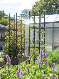 Garden Care Shop -Garden Care Shop 8612046 346 tif