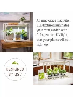 Tabletop Grow Kit -Garden Care Shop 8612507 4