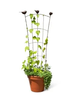 Flock Of Friends Pot Trellis -Garden Care Shop 8612635 0003