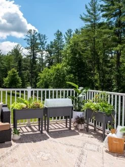 Self-Watering Standing Salad Planter With Cloche 13 Self-Watering Standing Salad Planter With Cloche -Garden Care Shop 8612702 2002 tif