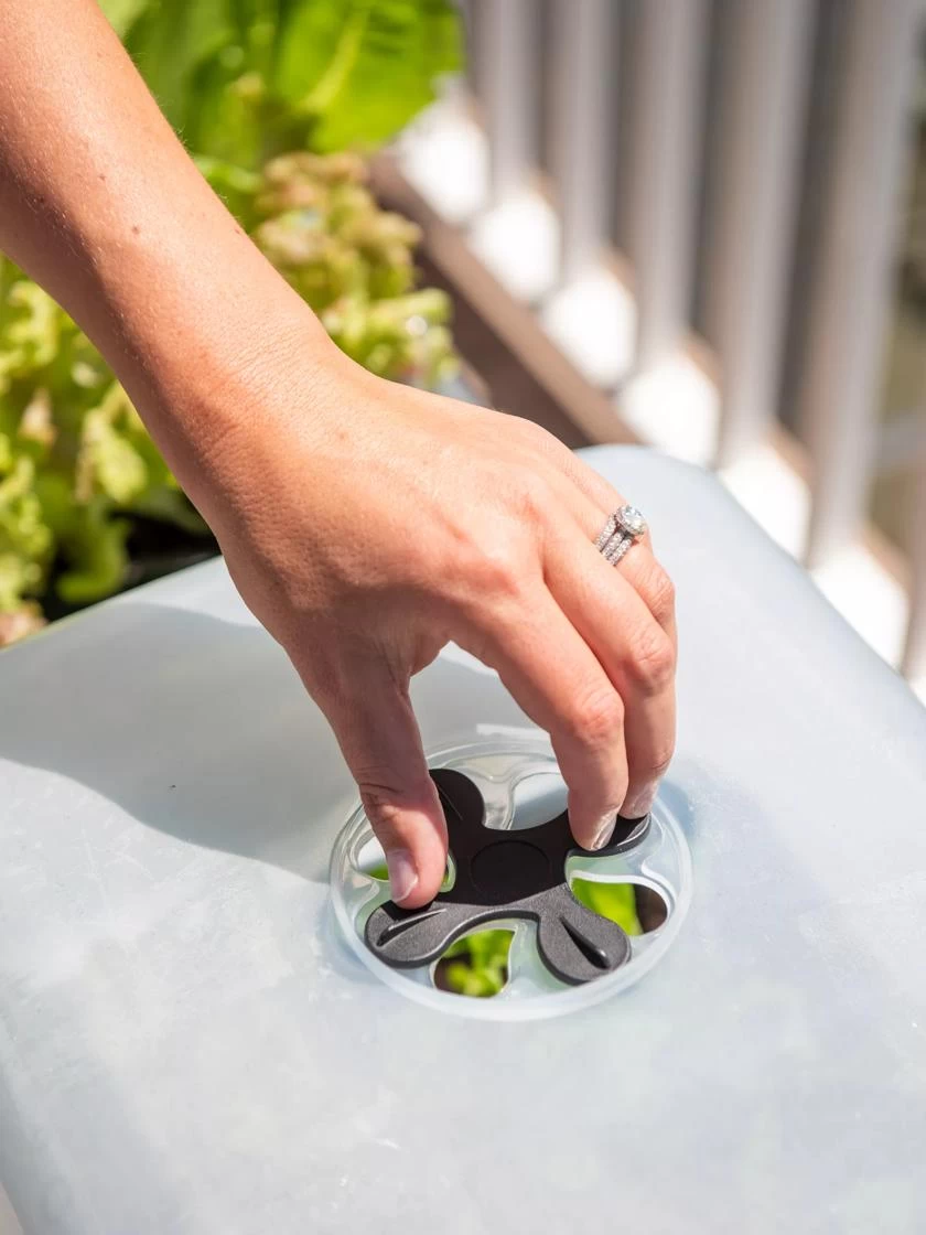 Self-Watering Standing Salad Planter With Cloche 5 Self-Watering Standing Salad Planter With Cloche - Image 3