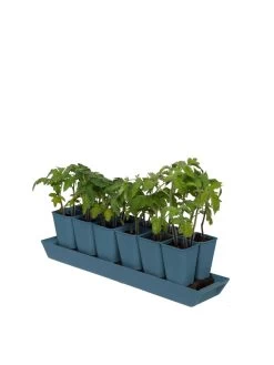 Gardener's Best® XL Seed Starting Kit -Garden Care Shop 8613066 0029