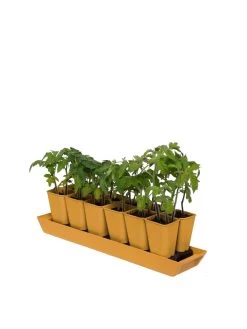 Gardener's Best® XL Seed Starting Kit -Garden Care Shop 8613066 1029