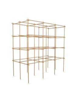 Tomato Six Pack Support -Garden Care Shop 8613143 5402 6 pack tomato support