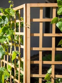 Bamboo Zig-Zag Trellis 24" X 36" -Garden Care Shop 8613151 6491