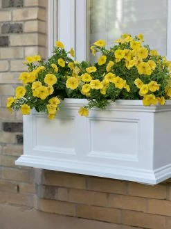 Fairfield Self-Watering Window Box, 2’ -Garden Care Shop 8613268 11V tif