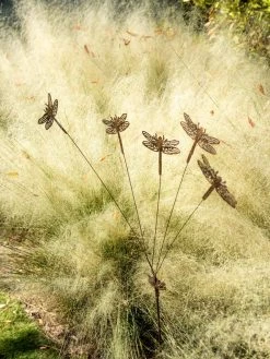 Flutterer Garden Stake -Garden Care Shop 8613372 0162