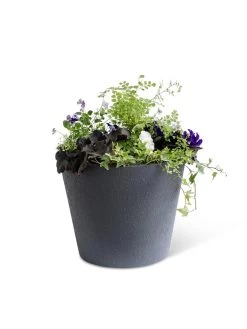 Self-Watering FiberStone Planters -Garden Care Shop 8613676 8645