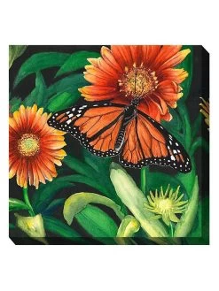 Monarch Outdoor Wall Art -Garden Care Shop 8613939 01V 3 4