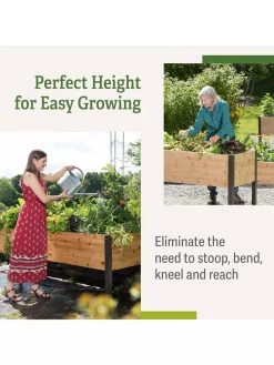 Elevated Planter Box, 2' X 8' -Garden Care Shop B00EOW8FHU raisedbed benefits 1