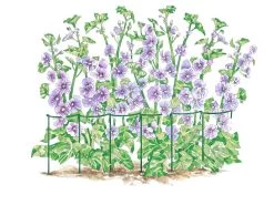 Curved Linking Stakes 9 Curved Linking Stakes -Garden Care Shop GS35240 01S tif